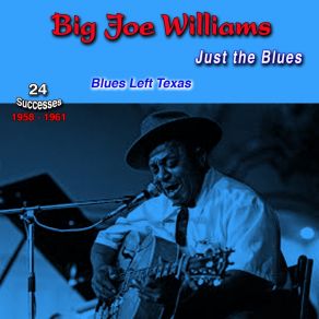 Download track Shetland Pony Blues Big Joe Williams