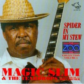 Download track Mojo Boogie Magic Slim, The Teardrops