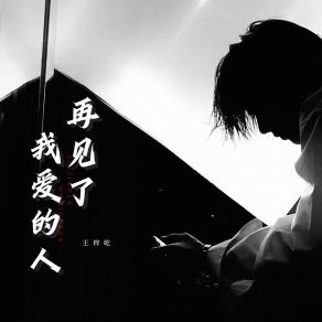 Download track 再见了我爱的人 (伴奏) 王梓屹