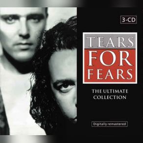 Download track Mother's Talk Tears For Fears