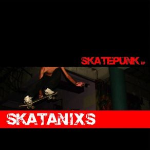 Download track Skatepunks Skatanixs