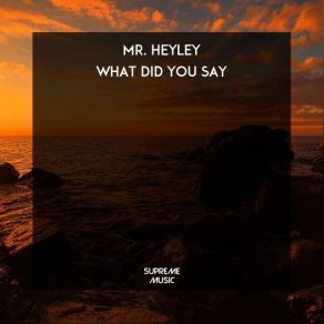 Download track Who Is This Mr. Heyley