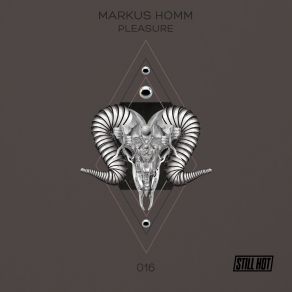 Download track Golden Horizon Markus Homm