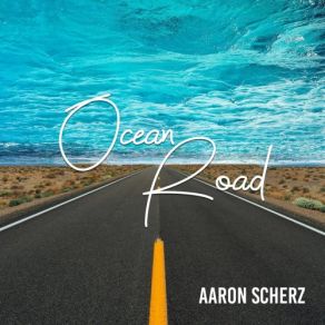 Download track Long Time No Sea Aaron Scherz