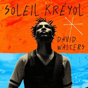 Download track Fo Bouger David Walters