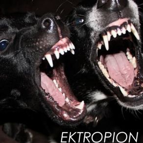 Download track You Are Safe With Me Ektropion