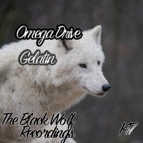 Download track Hard Groove Energy Omega Drive