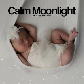 Download track Gentle Sleep Music Baby Dream Tunes