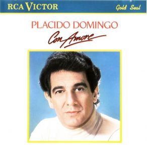 Download track Il Coraggio Di Dire Ti Amo (Have I The Courage To Say I Love You) Plácido Domingo