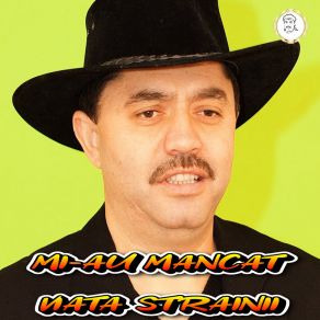 Download track RAMAI ASA, NU TE MAI SCHIMBA Nicolae Guţă