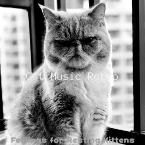 Download track Opulent Backdrops For Cats Cat Music Retro