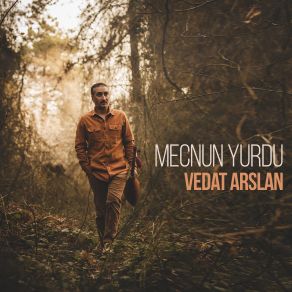 Download track Gönül Gel Vedat Arslan