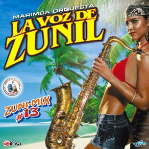 Download track Zuni - Mix Duranguense 3: Cielo De Estrellas / En Cambio Tú / Como Una Gelatina Marimba Orquesta La Voz De Zunil