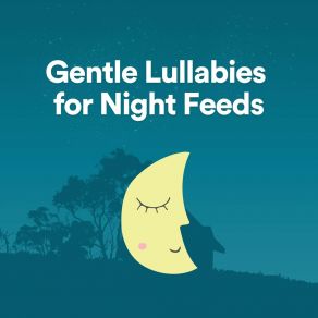 Download track Gentle Lullabies For Night Feeds, Pt. 17 Easy Sleep Music