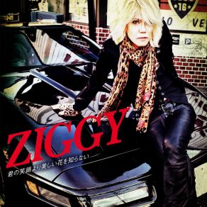 Download track Saigono Koega Togirerumade (Instrumental) Ziggy