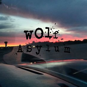 Download track Midnight Meow Wolf Asylum