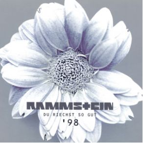 Download track Du Riechst So Gut (Remix By Olav Bruhn Of Bobo In White Wooden Houses) Rammstein