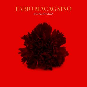 Download track Zzafratatrance Fabio Macagnino