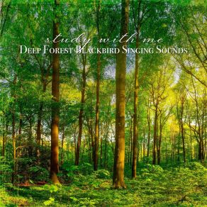 Download track Deep Forest Blackbird Singing Sounds, Pt. 1 Sebastian Riegl