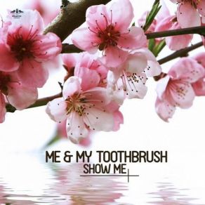 Download track Show Me (Original Mix) Me My Toothbrush