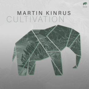 Download track Irregular (Original Mix) Martin Kinrus