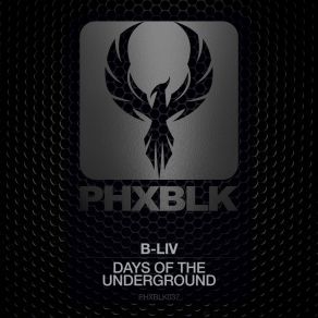 Download track Days Of The Underground (Edit) B-Liv