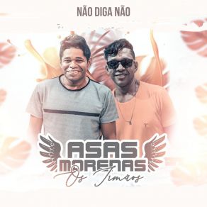 Download track Moreninha Meu Amor Asas Morenas