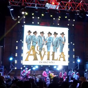 Download track Huapangos Amor De La Vida Alegre, El Son Del Kora (Live) Los Ávila