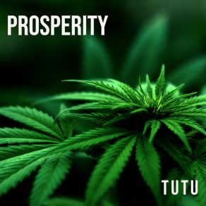 Download track Prosperity Tutu