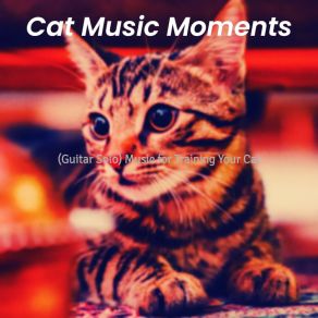 Download track Background For Cats Cat Music Moments