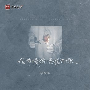 Download track 唯有情伤无药可救 (DJ阿本版伴奏) 侯泽润Ben A