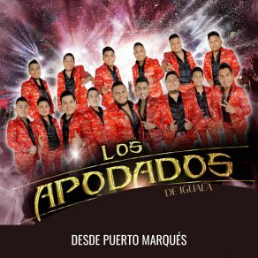 Download track Popurrí Arrollador Si Tu Amor No Vuelve / El Final De Nuestra Historia Los Apodados De Iguala
