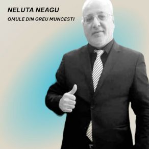 Download track Instrumentala Neluta Neagu