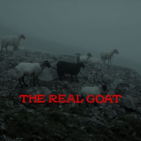 Download track The Real GOAT Sky Talbot