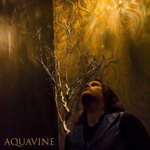 Download track Aeromatic Moonlight (Alternative Version) AQUAvine