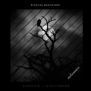 Download track Shadow Nicolas Baschiera