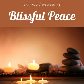 Download track Chillout Spa Music Spa Music Collective