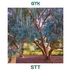 Download track STT (Extended) Get To Know