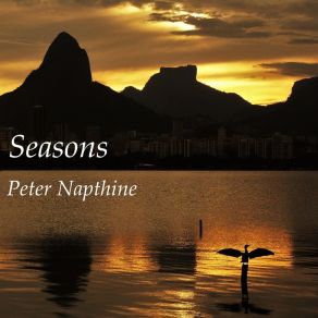 Download track Could It Be True For You This Christmas? Peter Napthine