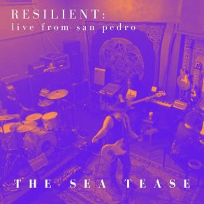 Download track Olivia (Live From San Pedro; Live) The Sea Tease