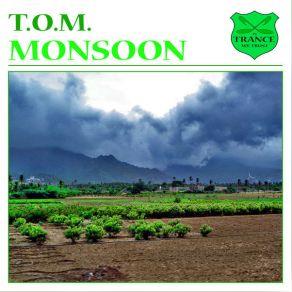 Download track Monsoon (Tommygoff's Aftersun Remix) T. O. M.