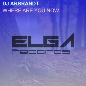 Download track Where Are You Now (Original Mix) Dj Arbrandt