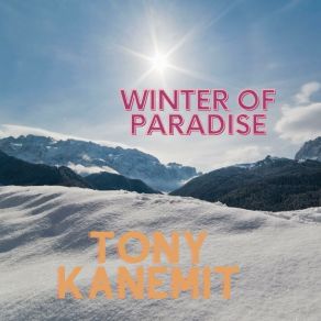 Download track Winter Of Paradise Tony Kanemit