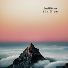 Download track Wandering Sadhu Sky Nites