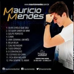 Download track Olha O Rolo Que Deu Maurício Mendes