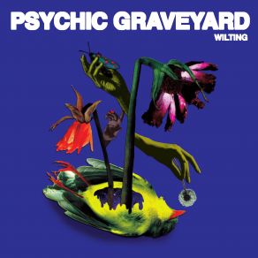 Download track Your Smile Is A Hoax Psychic Graveyard