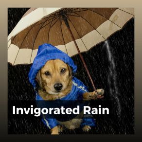 Download track Rain For Happy Dreams, Pt. 11 Rain Sound Studio