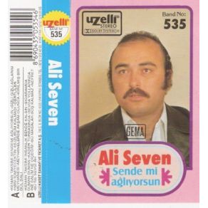 Download track Kırılmış Bir Gül Dalı Ali Seven