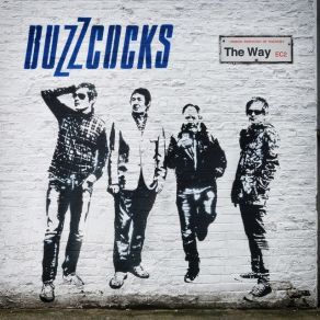 Download track It's Not You Buzzcocks