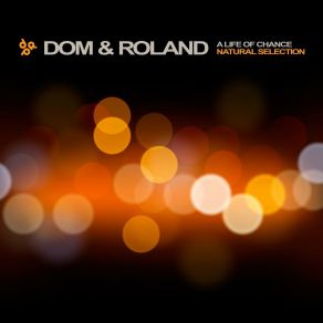 Download track Natural Selection Dom & Roland